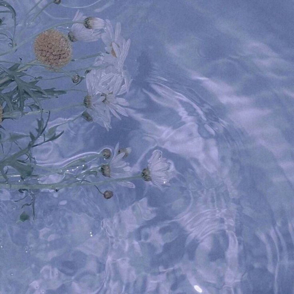 Meet your Posher, Francheska